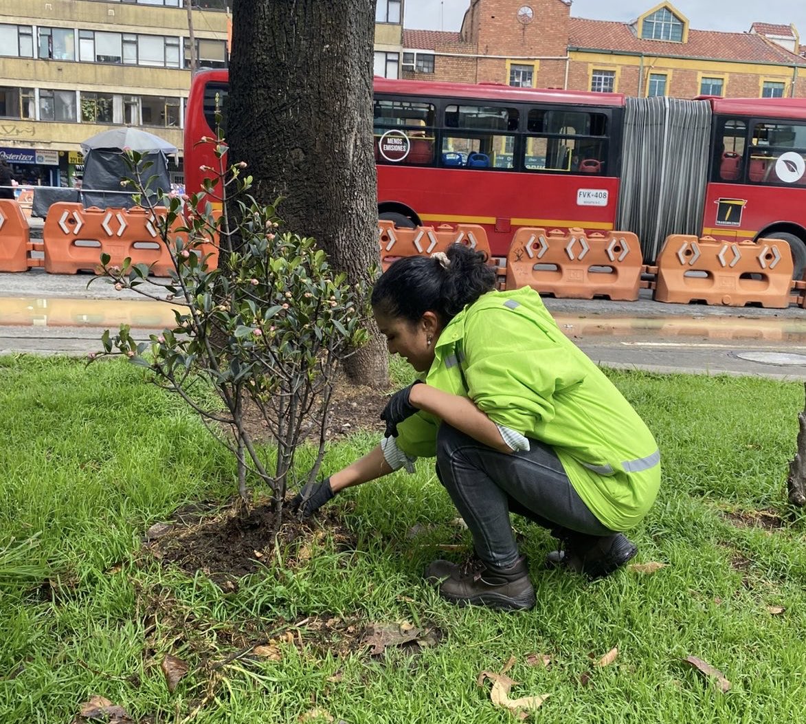 Corresponsal Ambiental tweet media