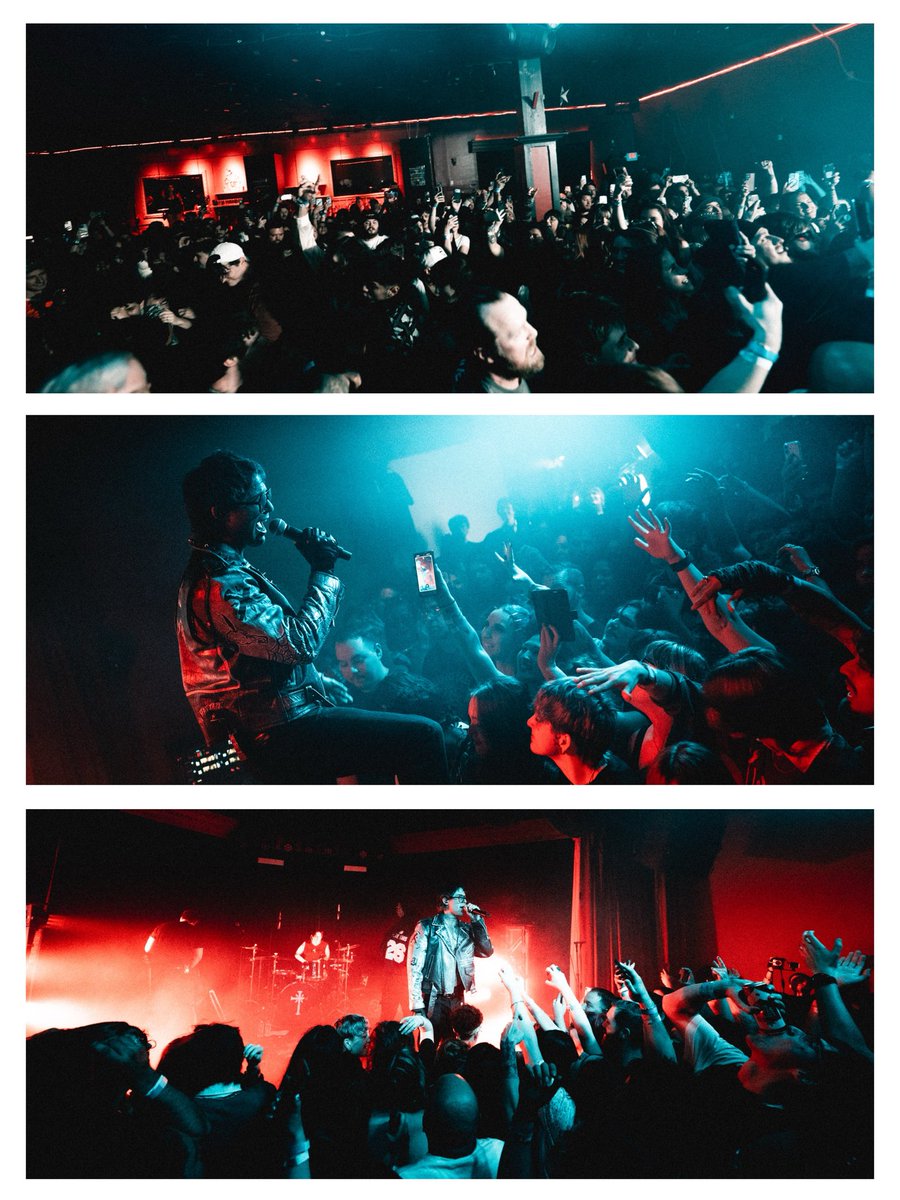 bailey, like the liquor tweet media