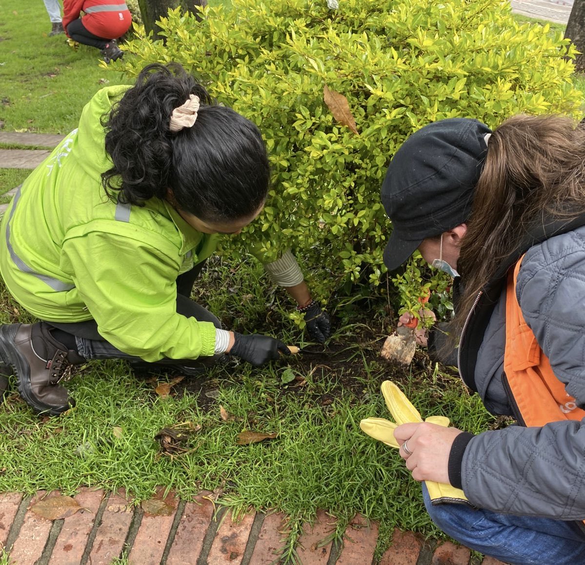 Corresponsal Ambiental tweet media