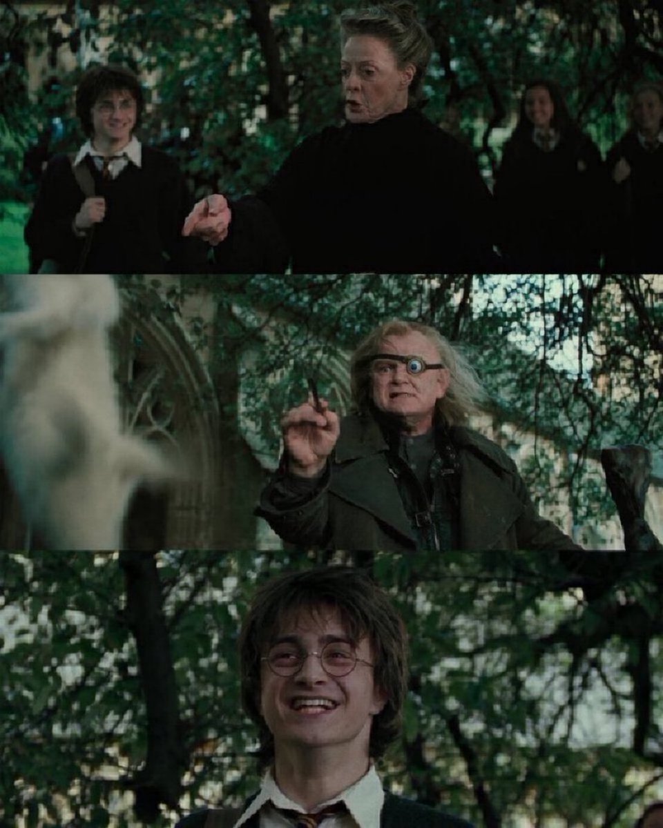 Daily Harry Potter tweet media