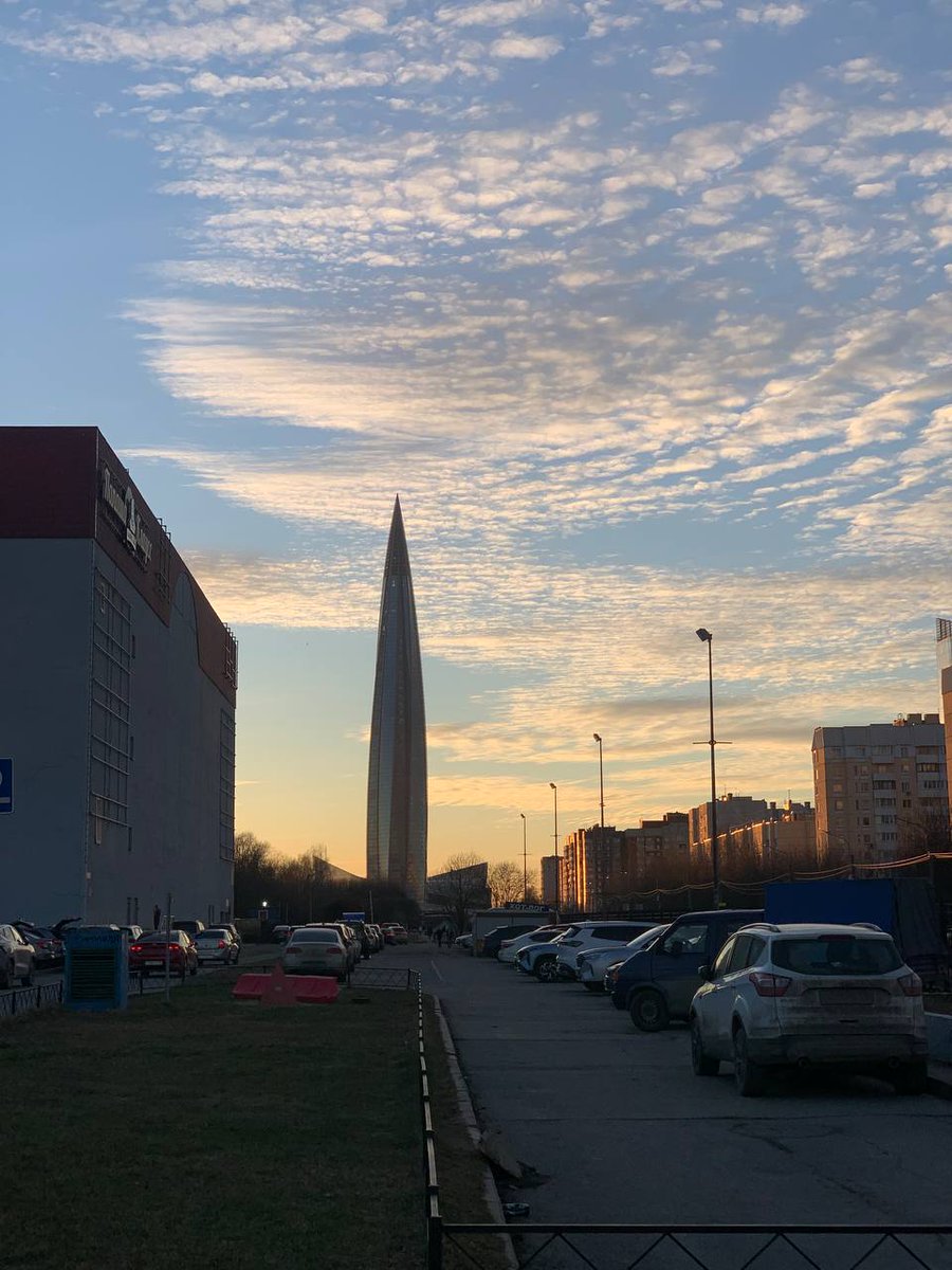 Parasolka tweet media