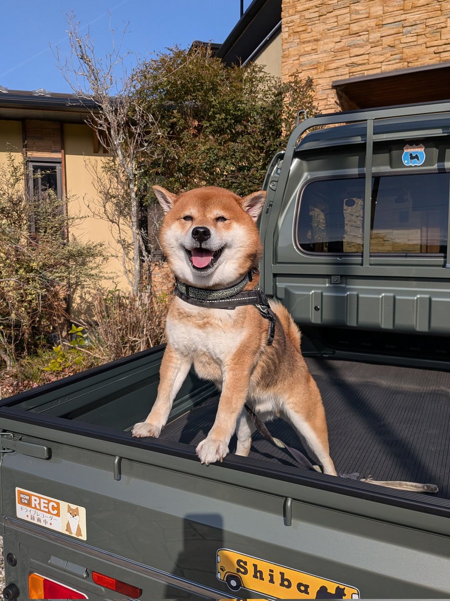 胡麻柴マサル tweet media