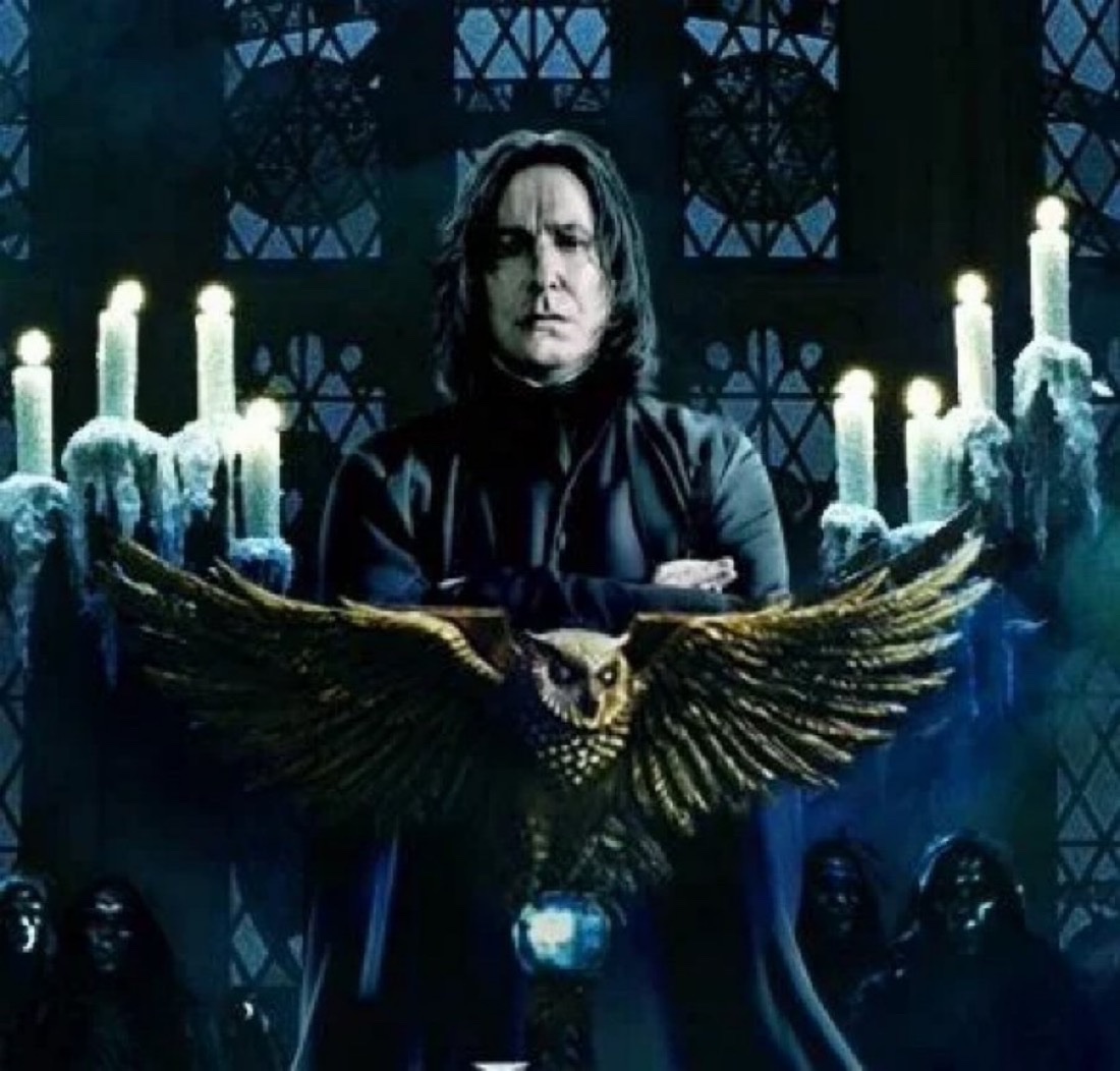 Daily Harry Potter tweet media