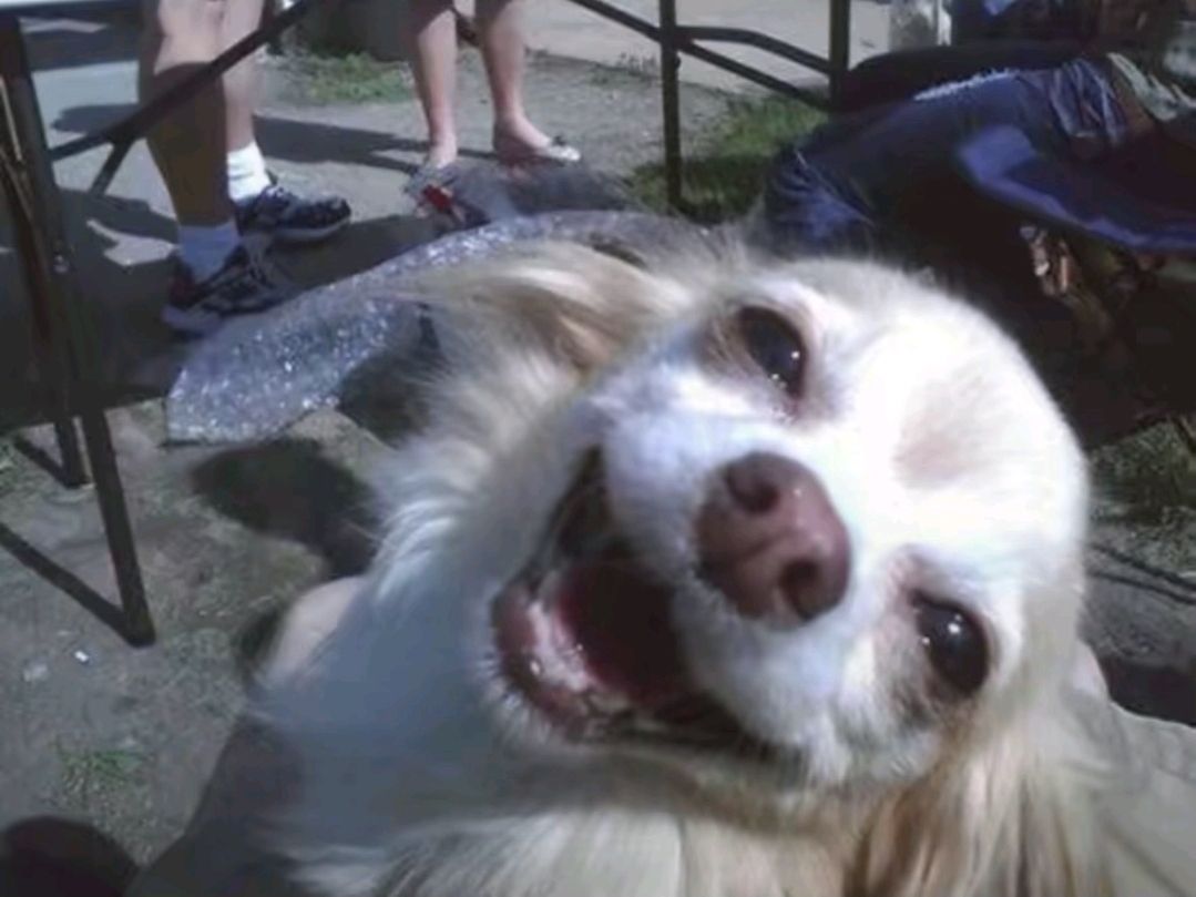 Random Nerd tweet media