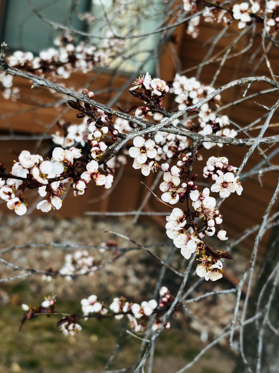 randi 🪶🌱✨ tweet media