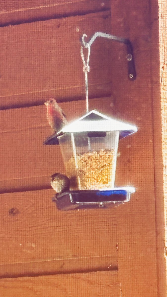 randi 🪶🌱✨ tweet media