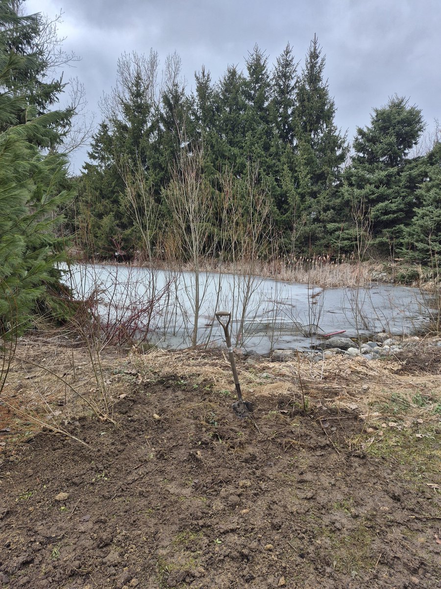 Jon Heron 🇨🇦 tweet media