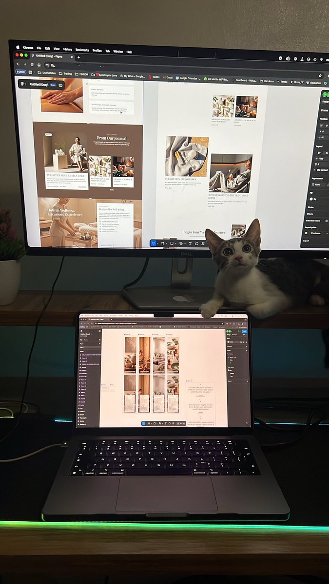 Oma 💕 tweet media