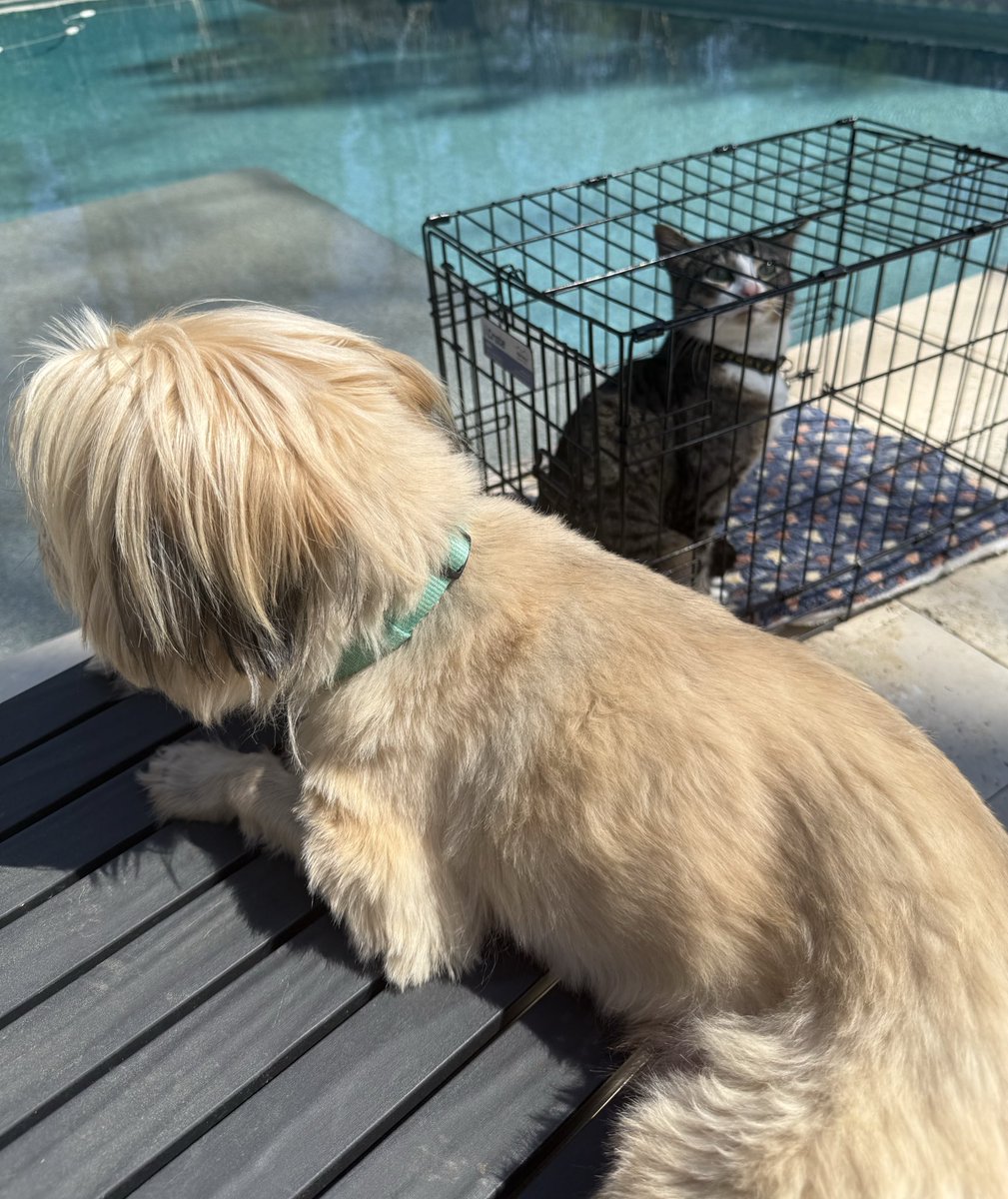 now why is Mel in it? (melvikaling #13) tweet media