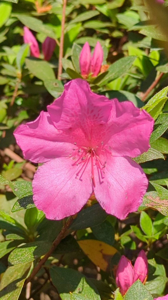 Fit🌞Life🌞Travel tweet media