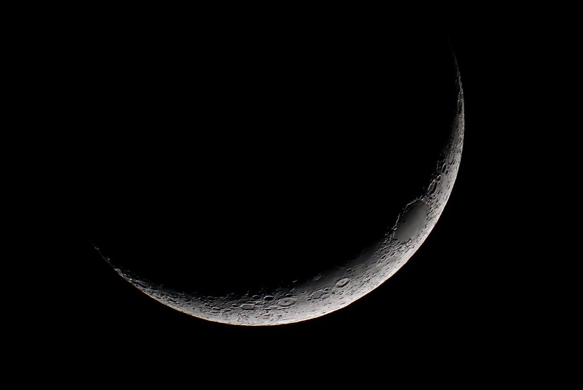 Jamie Reynolds tweet media