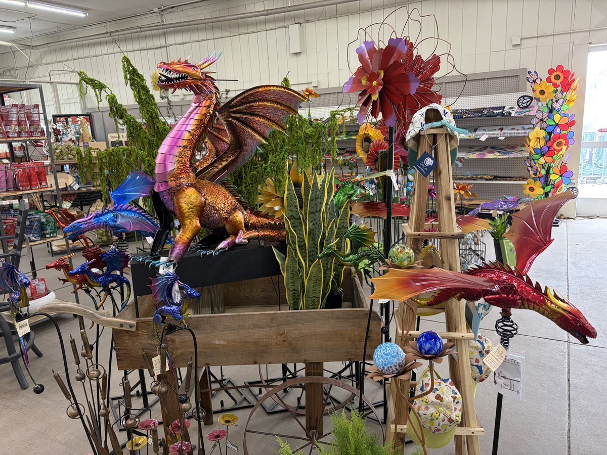 Emma Ward tweet media