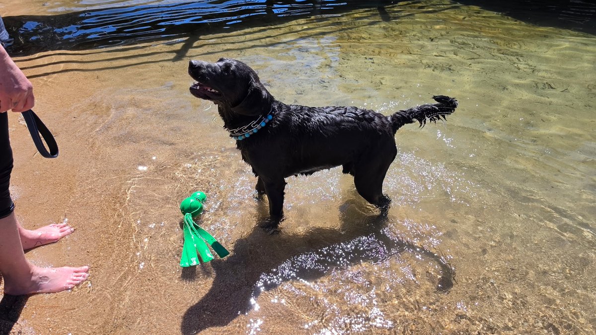 Wreckless Eating tweet media