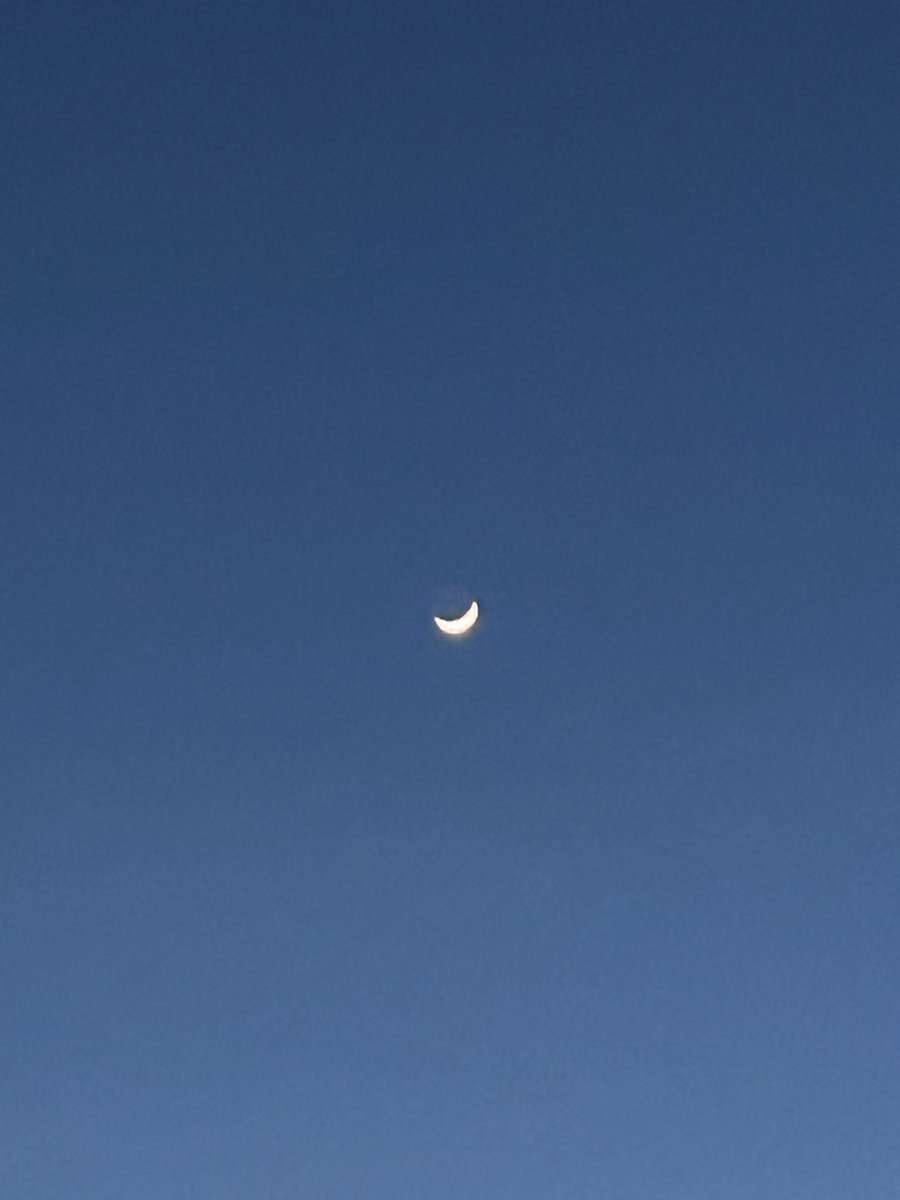 erin 🎈 tweet media