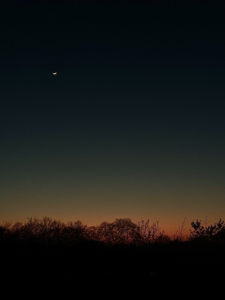 marinette 🪷 tweet media