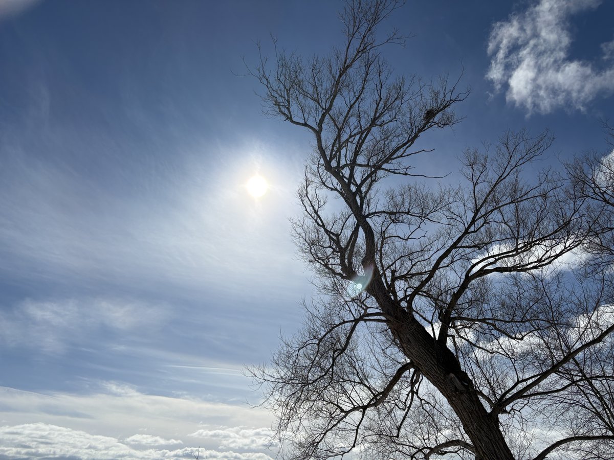 Sam Ford tweet media