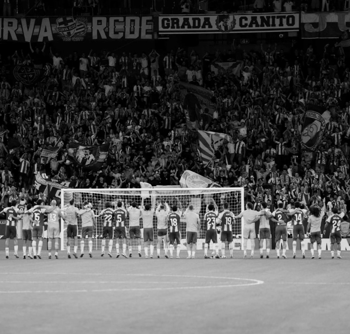 Àlex | Análisis Perico tweet media