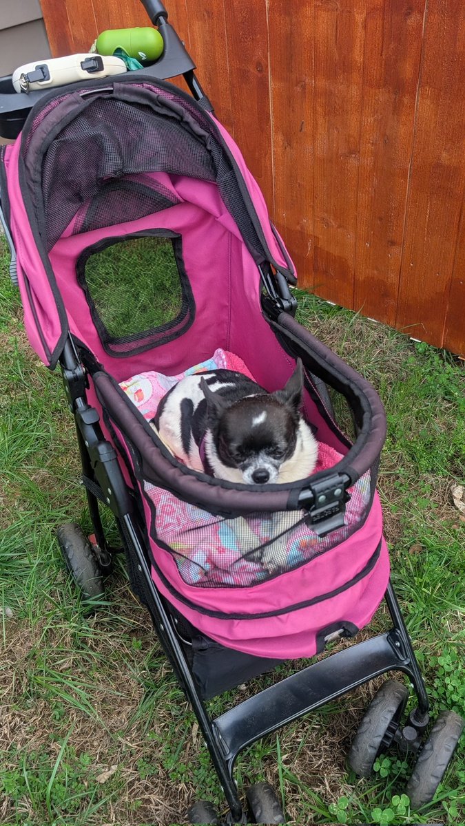 Doc🌈😇 & Luna's Mommy tweet media