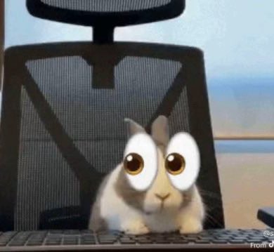 Eternity tweet media