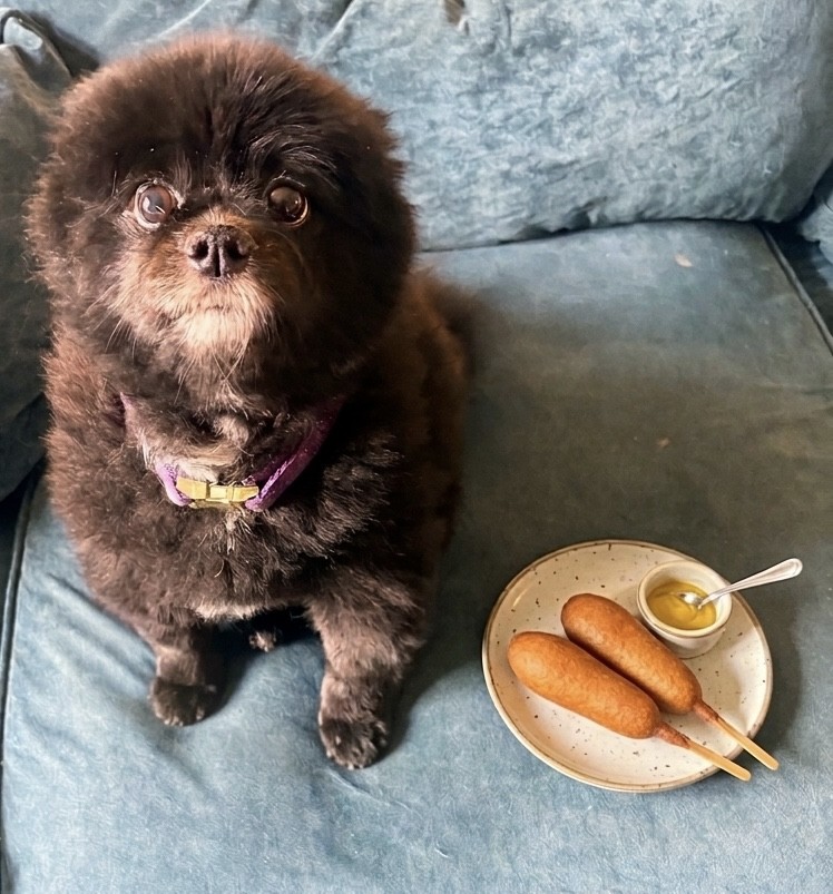 Gracie Ann/Princess Gracie the Gracious, 31st PODT tweet media