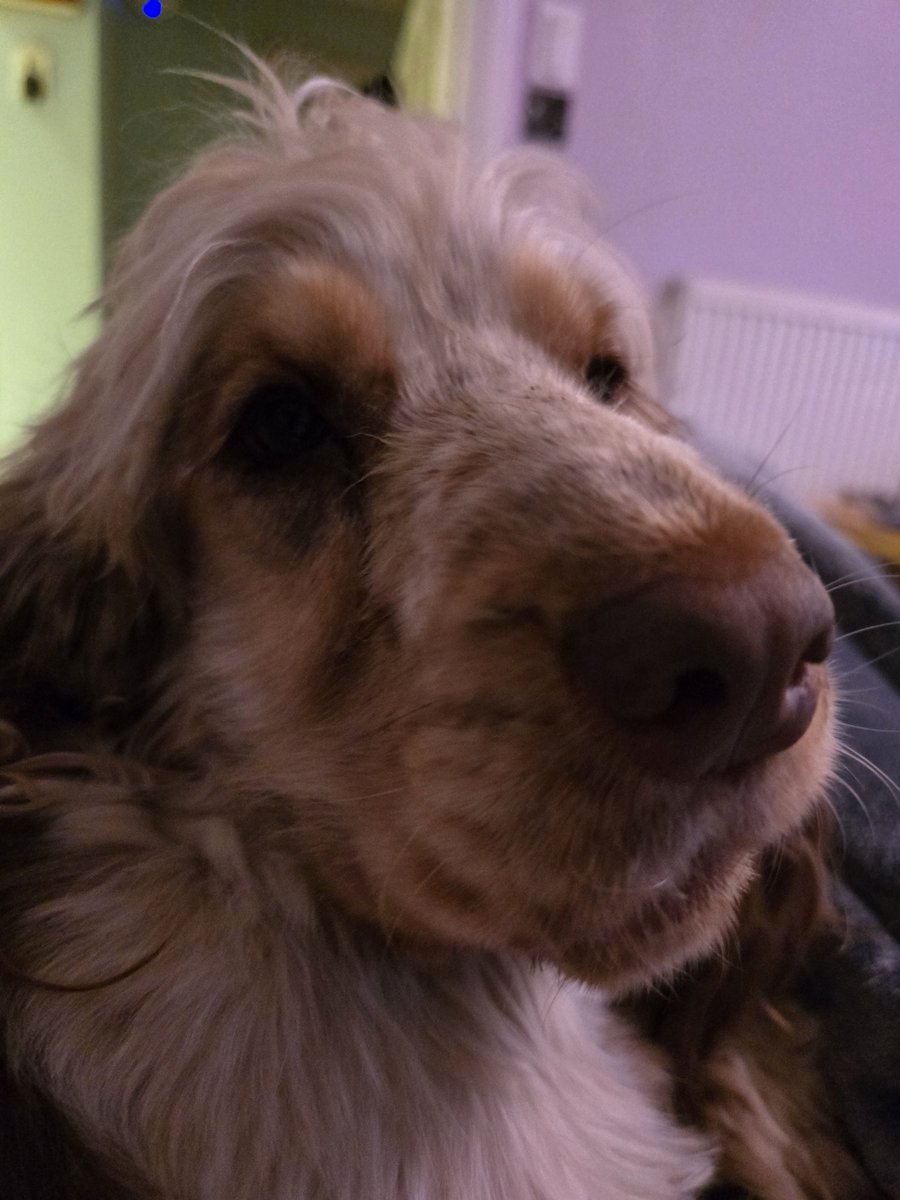 This is the face of someone who has something she shouldn't have in her mouth