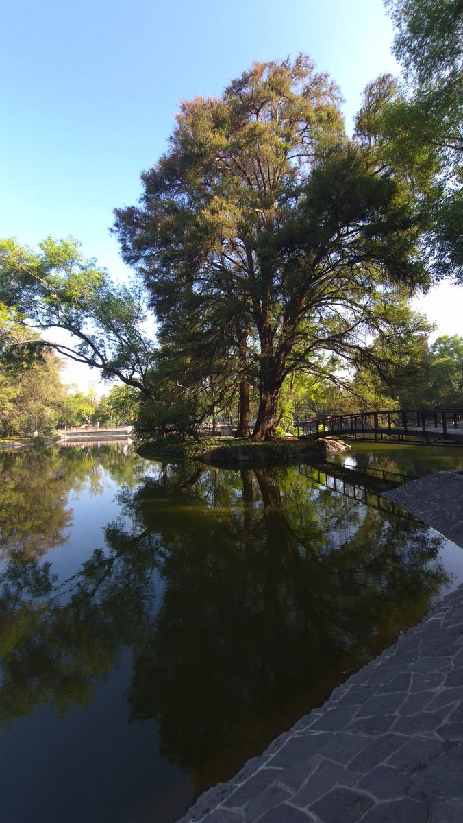 Efren Casas tweet media