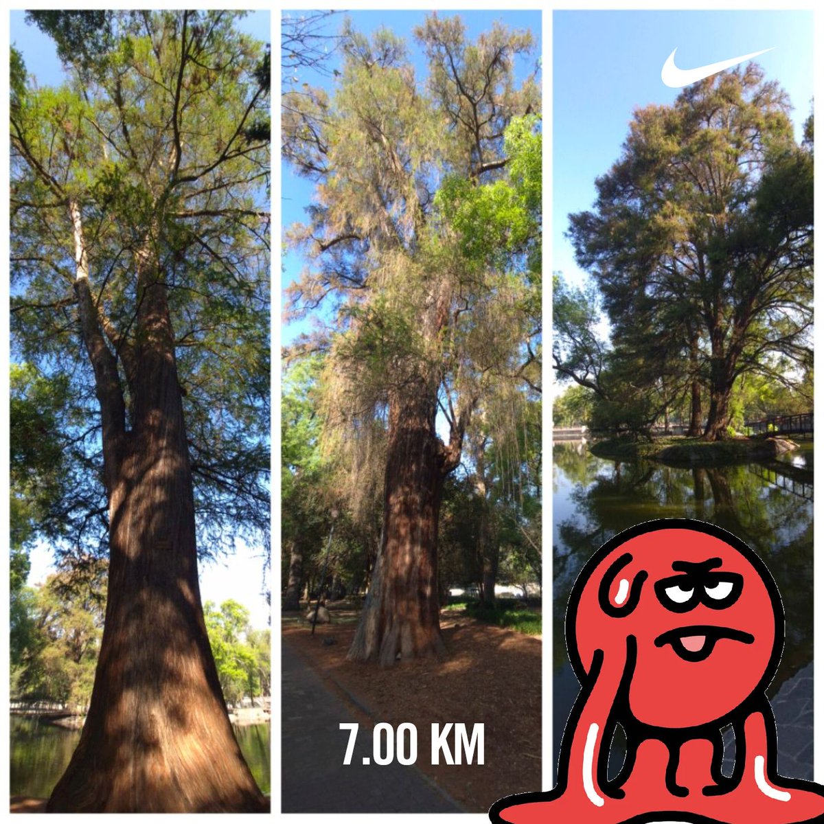 Efren Casas tweet media