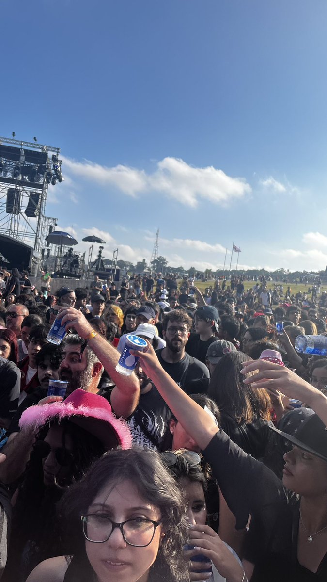 acervo alejandra villarreal tweet media