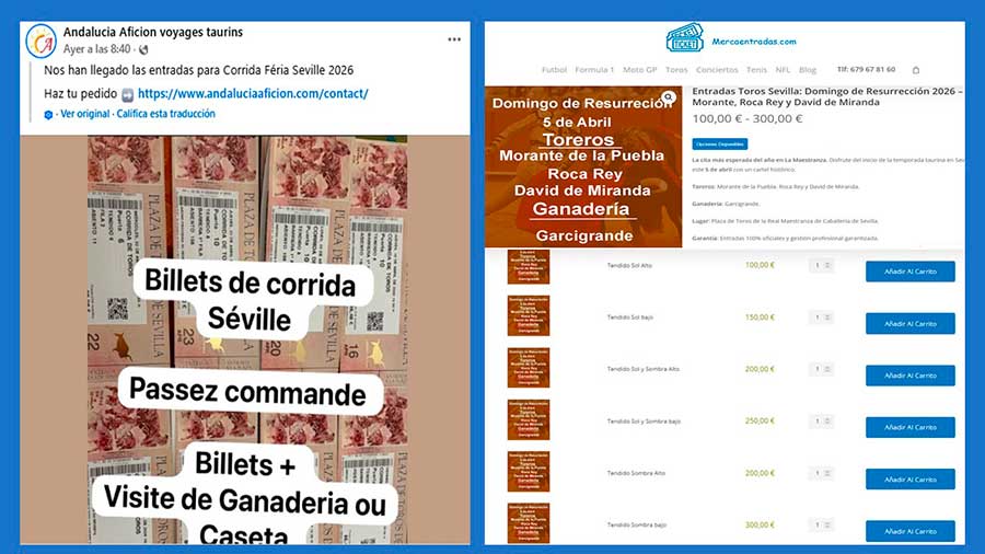 SEVILLA TAURINA tweet media