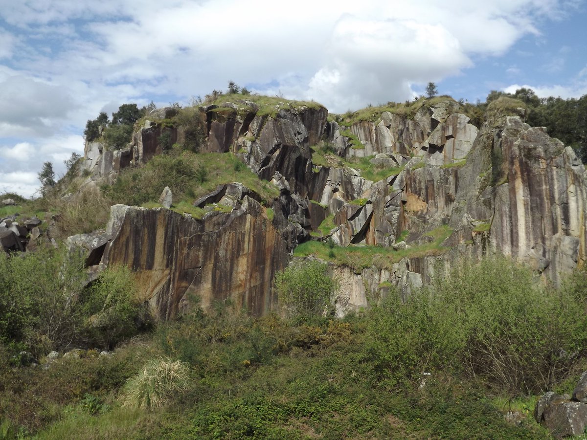 Nico 🐬 tweet media