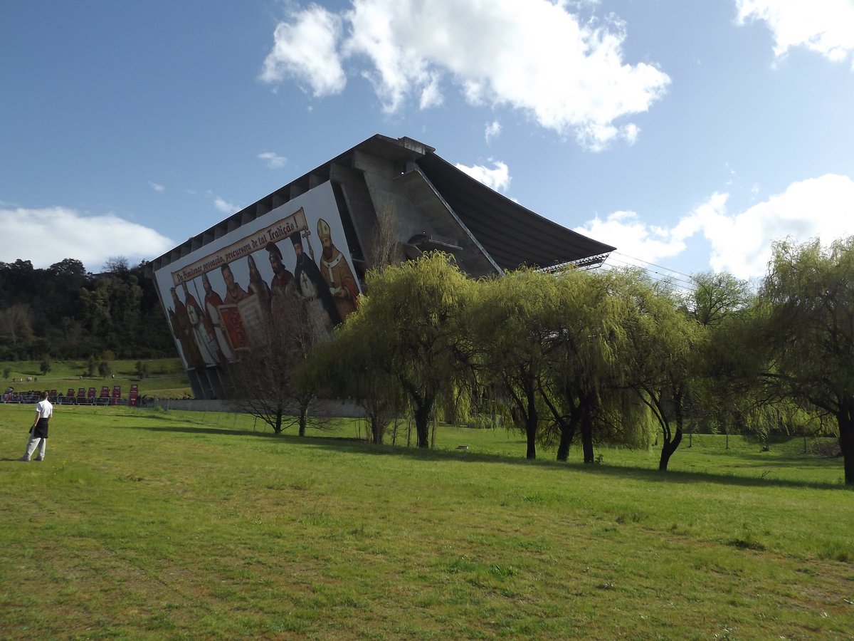 Nico 🐬 tweet media