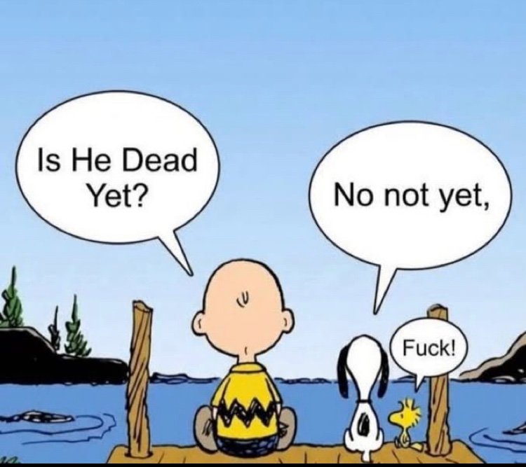 A Random Person tweet media