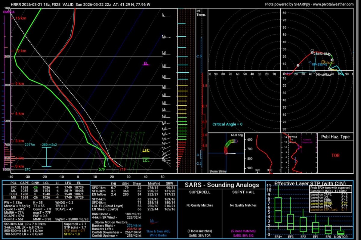 Tim Grooms tweet media