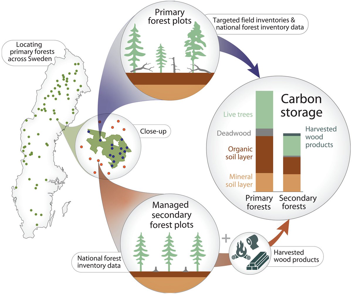 Geoengineering Info tweet media