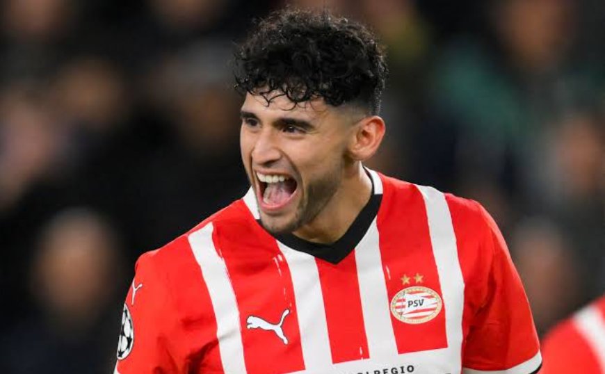 FulhamFanNews tweet media