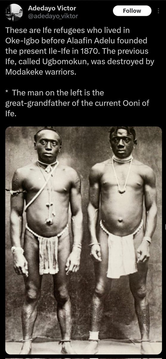 Amadithegreat tweet media