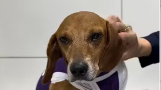 Marco Valverde ® tweet media