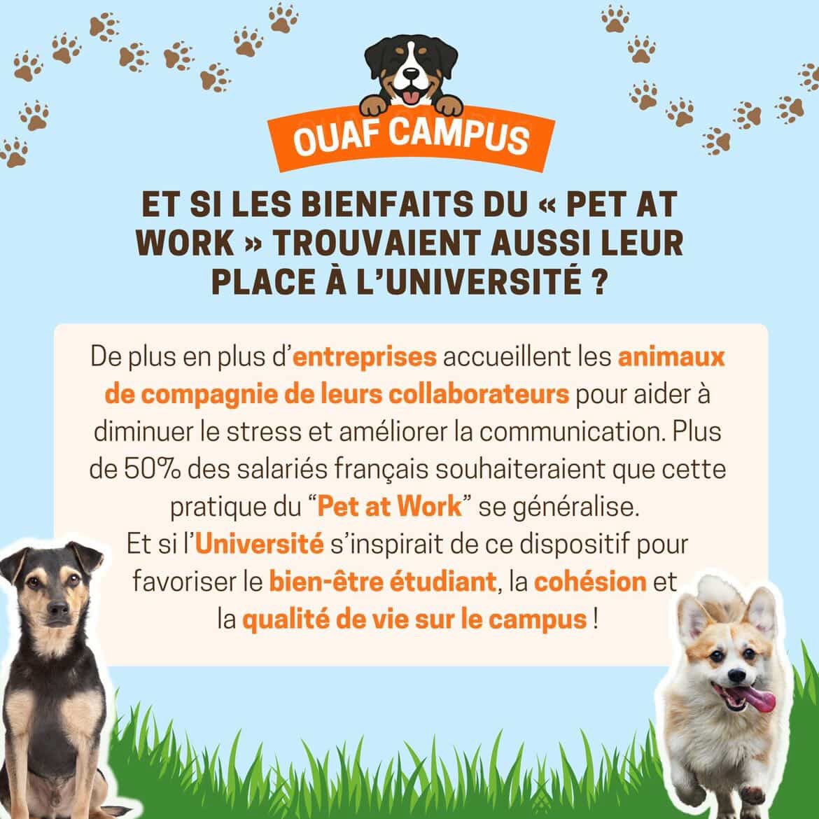 IAEOrleans's tweet photo. 📢ÉVÉNEMENT📢
Ramener son chien à l’Université ? 
Oui c’est possible à l’IAE d’Orléans !🐶 
Rendez-vous le 26 mars ! 
#IAEOrléans https://t.co/tcP0sekTJG
