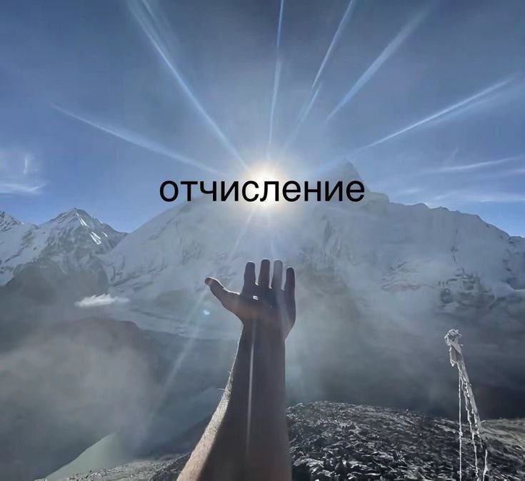 $тиль жизни💅 tweet media