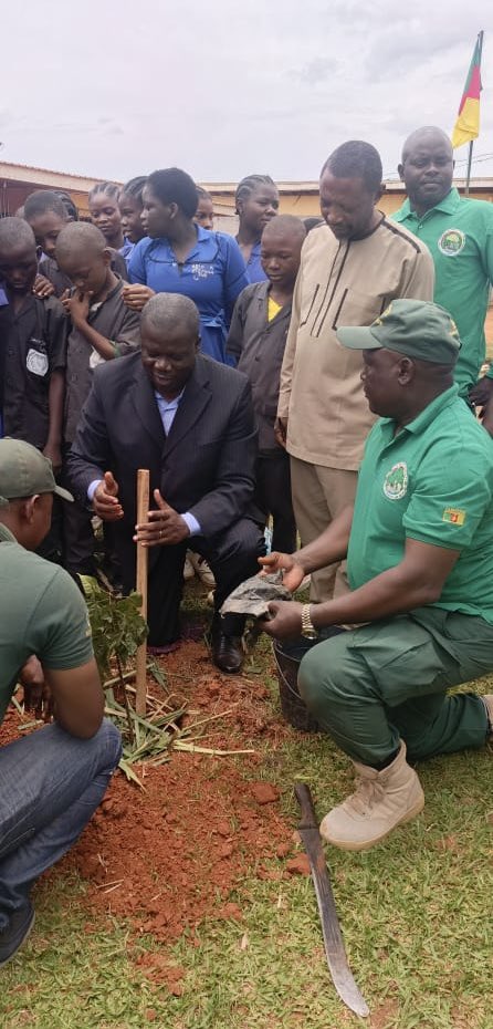 WWF CAMEROON tweet media