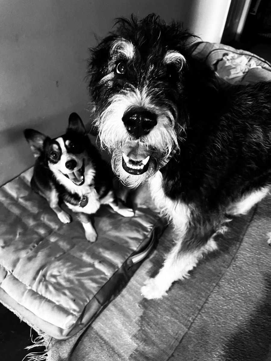 Old Boot Ranch tweet media