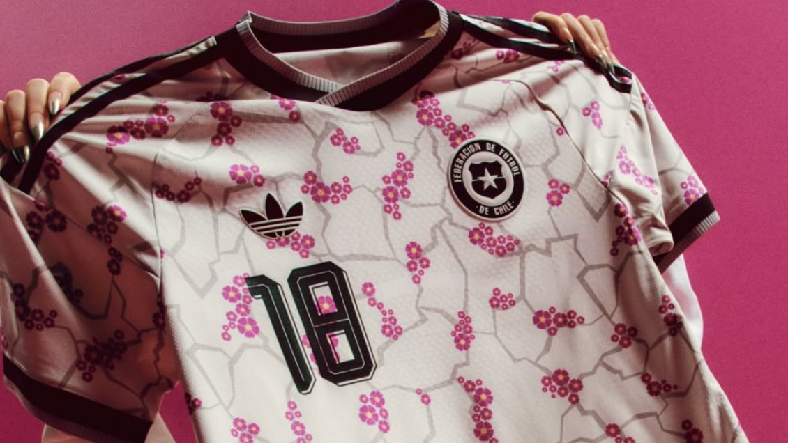 Cooperativa tweet media