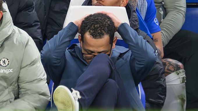 Chad ⭐⭐ tweet media