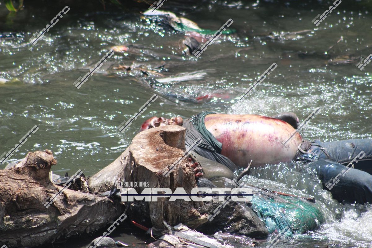 Impacto Producciones tweet media