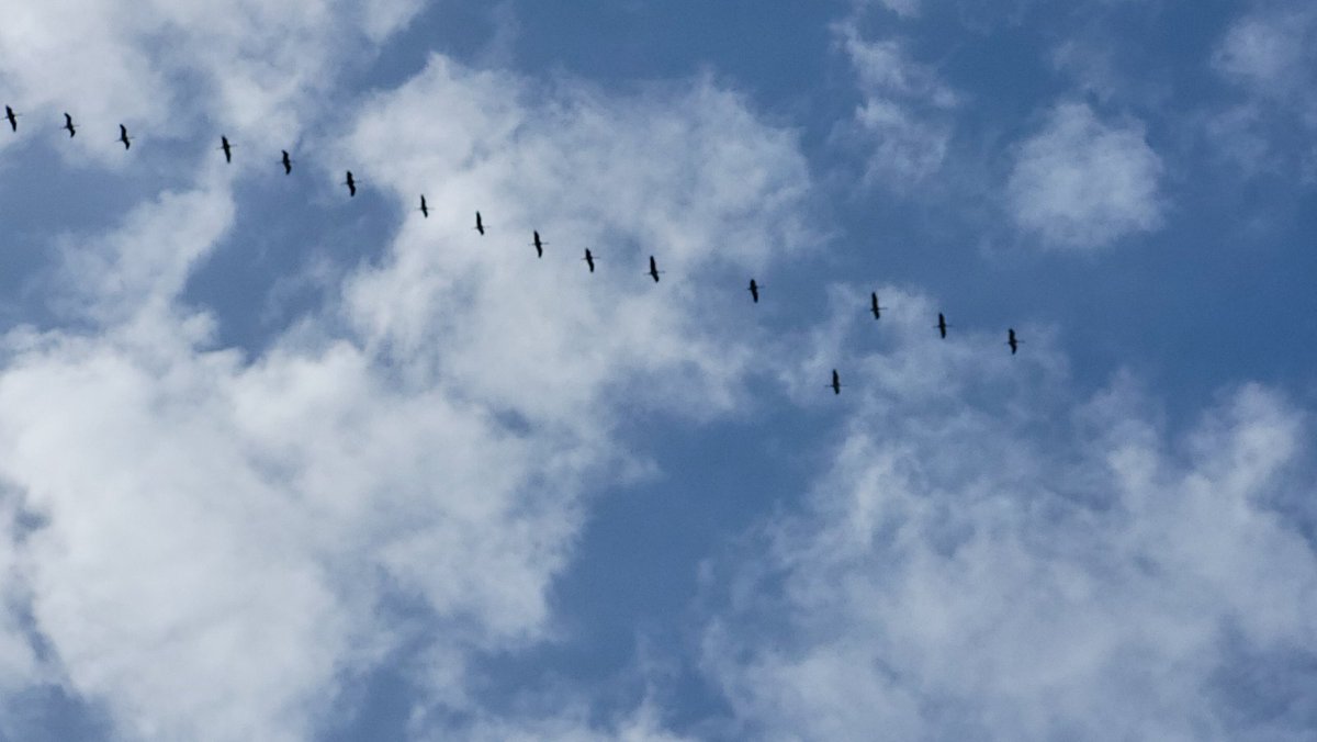 Taїса Березневий Овен tweet media