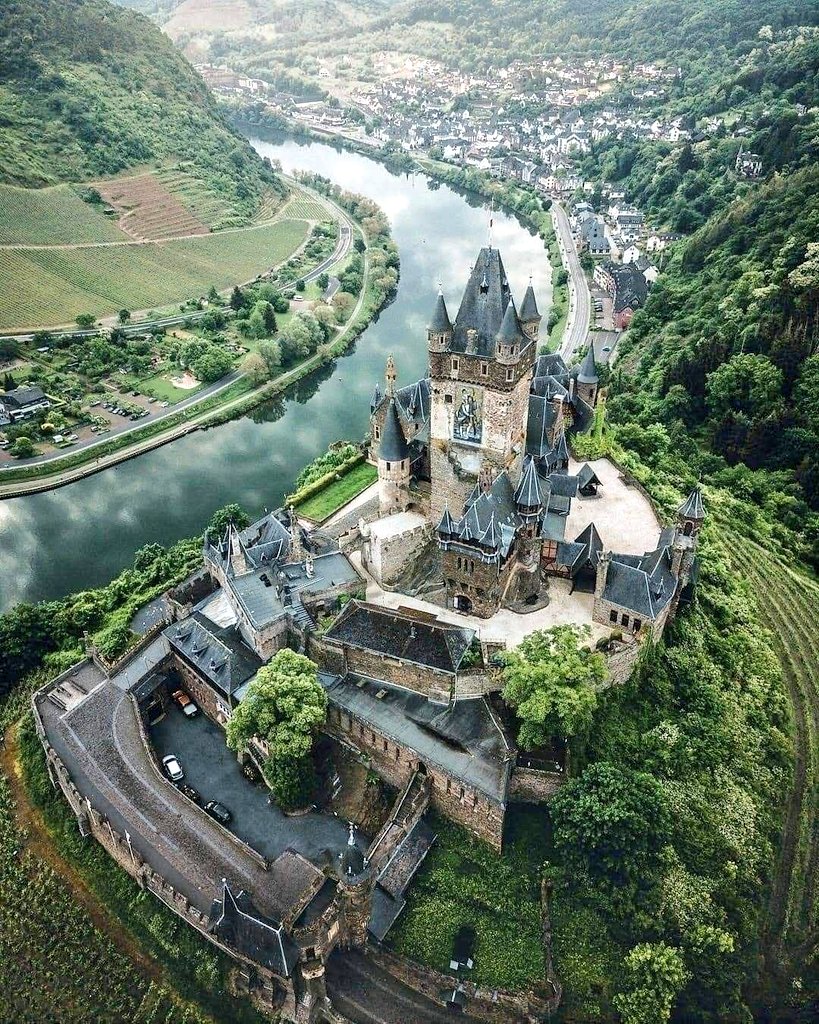 The Conservative Alternative tweet media