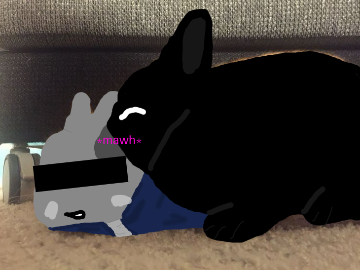 an beginner artist named inrageous tweet media