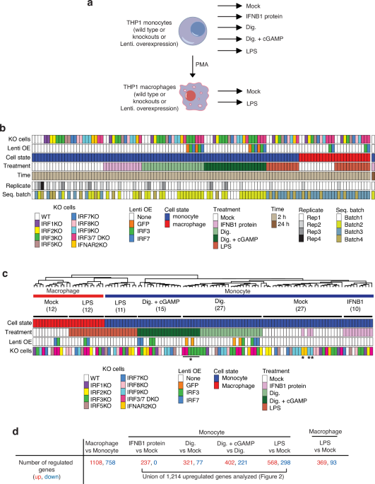 Communications Biology tweet media