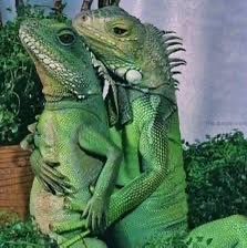 Ana Paula Renault 🧙🏻♀️ tweet media