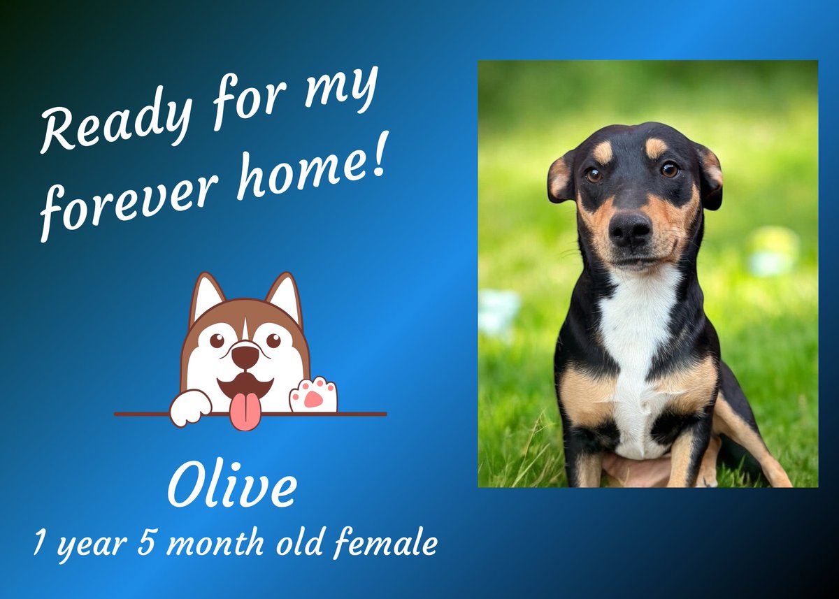 K-FROG Radio tweet media